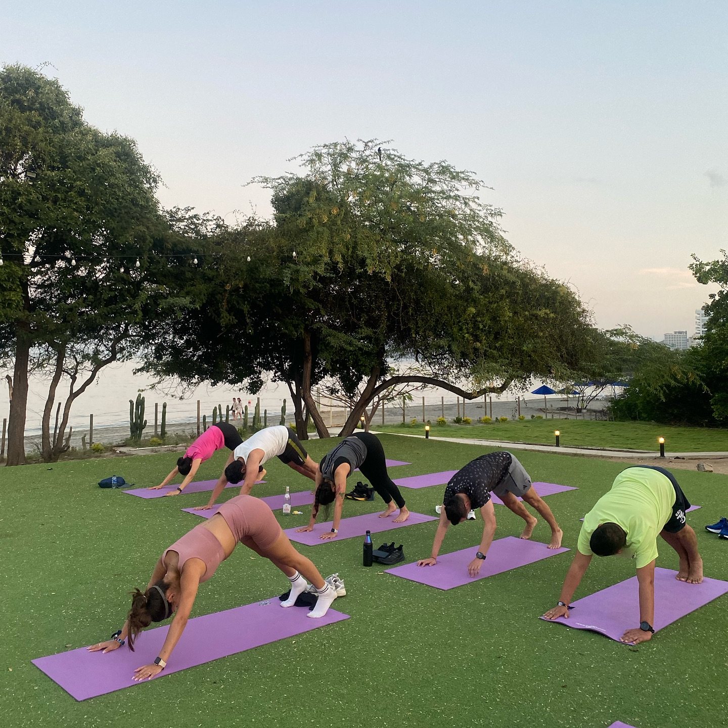 Clase grupal de yoga al aire libre bajo los árboles en Santa Marta